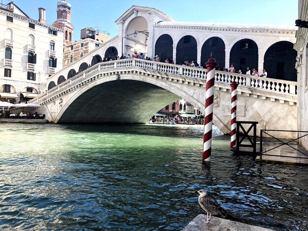 Arch bridge over river against buildings