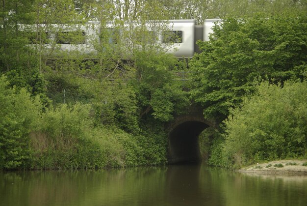 Arch bridge over river against trees