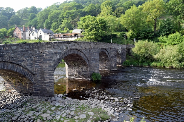 Arch bridge over river in forest