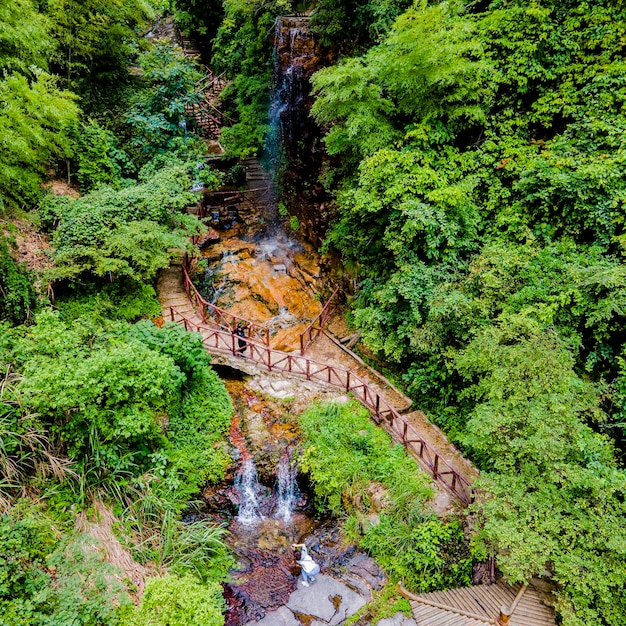 Foto ponte ad arco sul ruscello in mezzo agli alberi della foresta