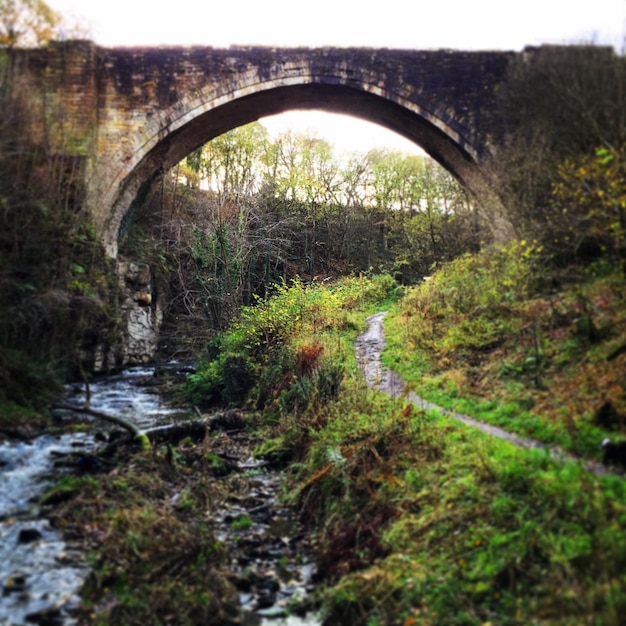 Photo arch bridge in tunnel