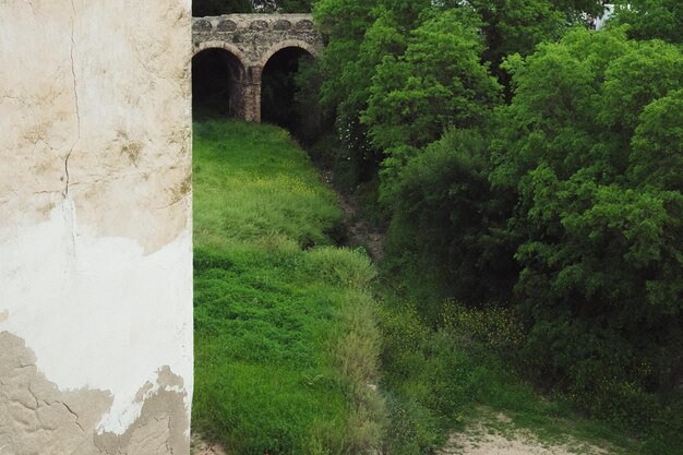 Foto arco sul campo contro gli alberi