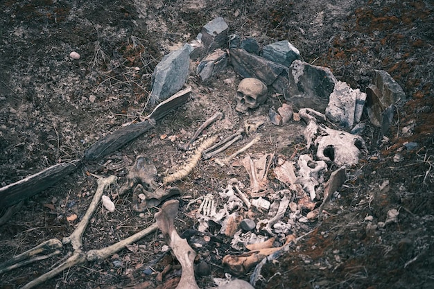 古代の人間の骨の骨格と高貴なスキタイの戦士の人間の頭蓋骨の埋葬の考古学的発掘
