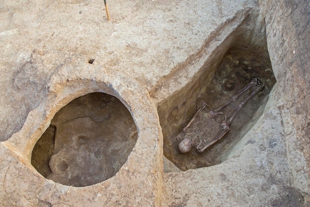 スキタイ人の化石の集落の考古学的発掘調査