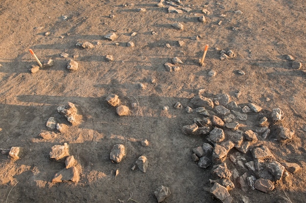 고고학적 발굴, 정착지 유적, 스키타이인 화석