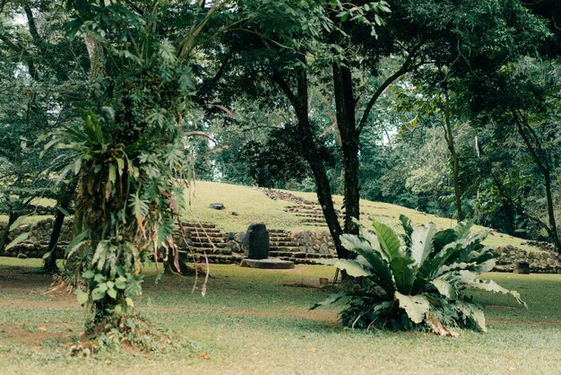 Archaeological Park Takalik Abaj in Retalhuleu Maya and Olmeca Guatemala feb 2023