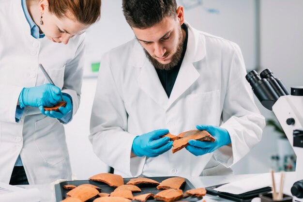 Archaeologist comparing earthenware samples to color swatches in laboratory