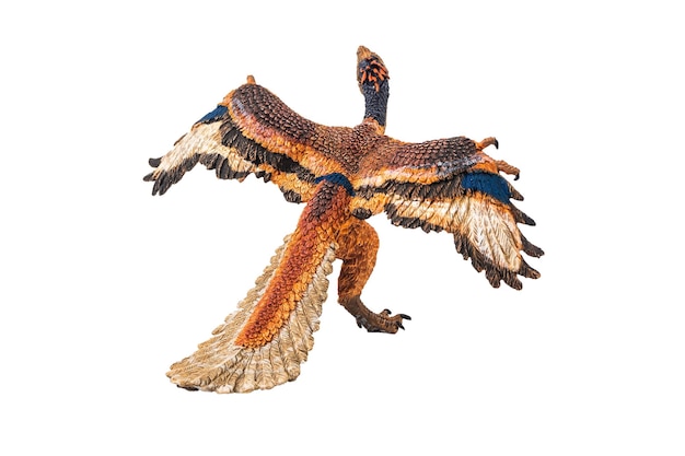 Archaeopteryx dinosaurus op witte achtergrond