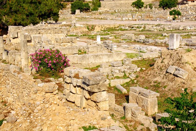 Foto archeologische opgravingssite bij de apollo-tempel in korinthe, griekenland