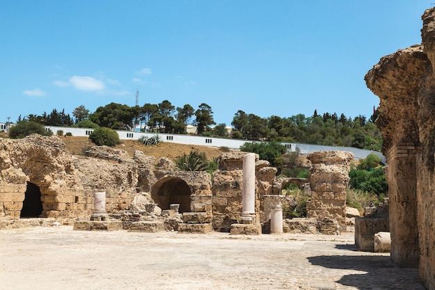 Archeologische vindplaats Ruïnes van Carthago bij de witte muur van de baden van Antoninus rond Tunesië