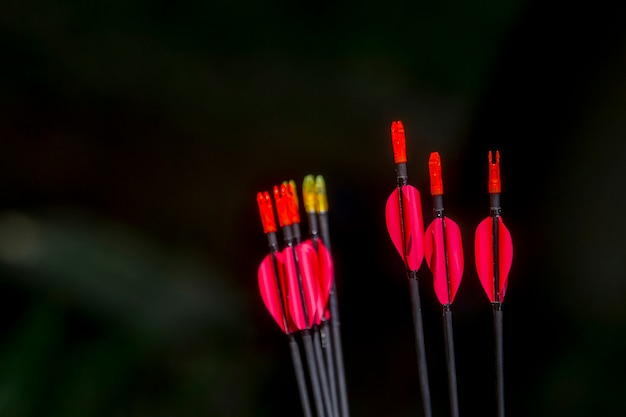 Archery arrows on a black