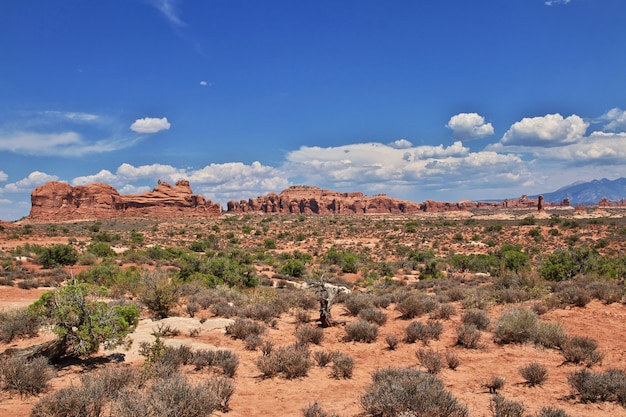 Foto arches valley nello utah, stati uniti d'america