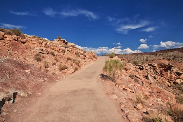 Arches valley nello utah, stati uniti d'america