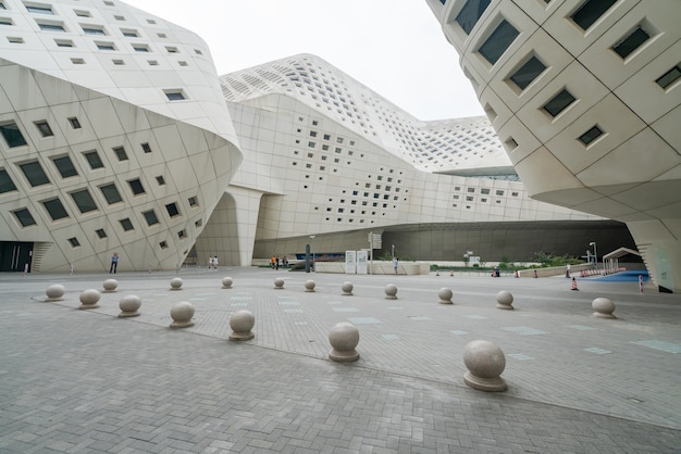 Architectonische kenmerken van Nanjing International Youth Cultural Center
