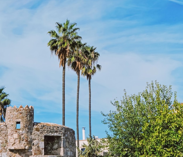 Foto dettagli architettonici sulle antiche strade dell'isola di kos in grecia, viaggi e visite turistiche