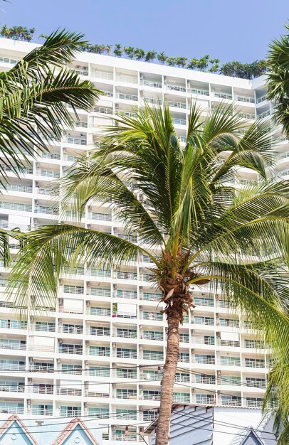 Photo architectural multistorey building among palm trees modern asian architecturevacationholiday