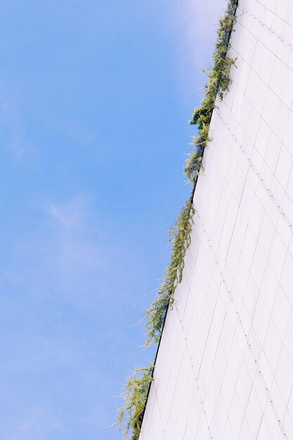 Architecture minimal design in Europe. Plant and building. Stylish city wallpaper