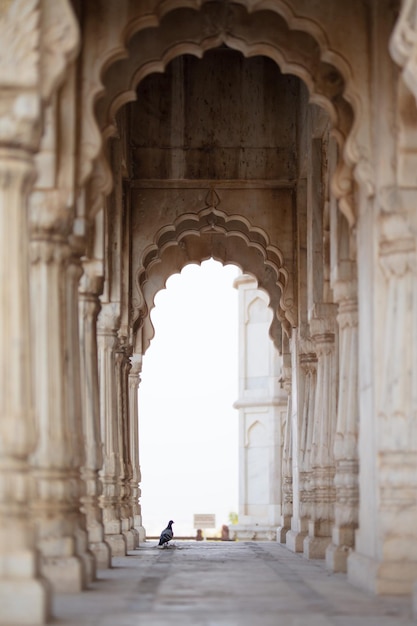 Foto l'architettura in stile orientale ospita edifici ornamentali sabbiosi foto di viaggio indiano