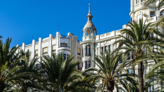 Architecture and palm trees in the mediterranean city of alicante spain