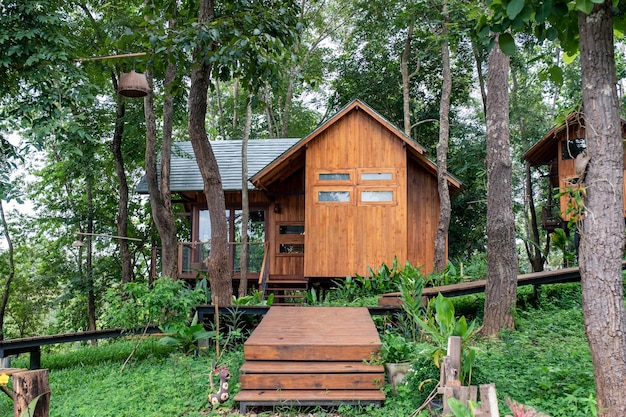 Architettura casa in legno nella foresta pluviale