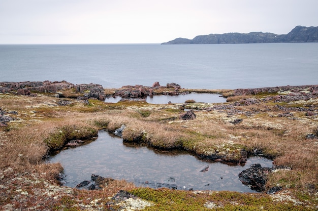 コラ半島の北極海岸