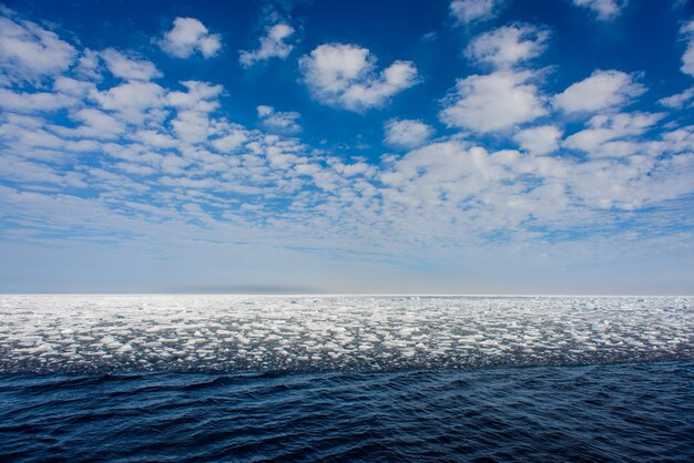 北極の風景-流氷と海の表面