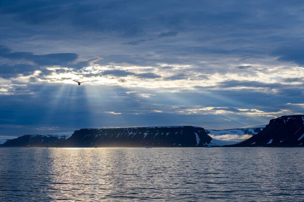 Arctic landscape in summer time. Franz Jozef Land archipelago. Flora cape, Gukera island. Rubini Rock.