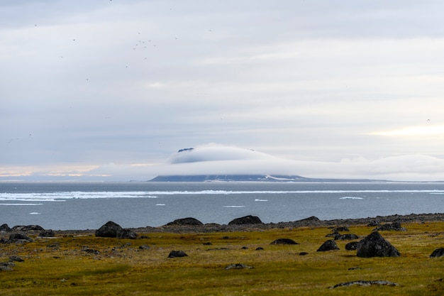 여름 시간에 북극 풍경입니다. 프란츠 요제프 랜드 군도. 플로라 케이프, 구케라 섬.