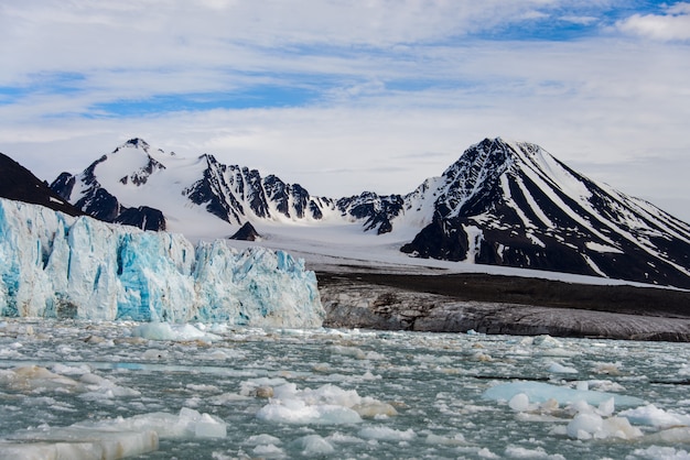 Arctic landscape