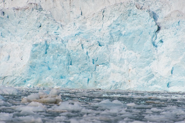 Arctic landscape