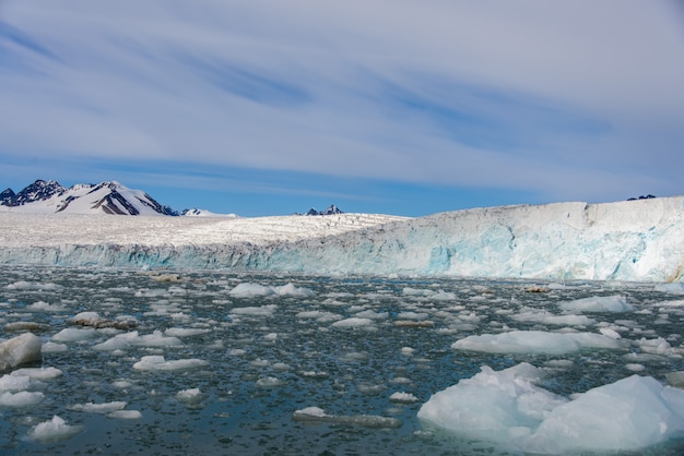 Arctic landscape