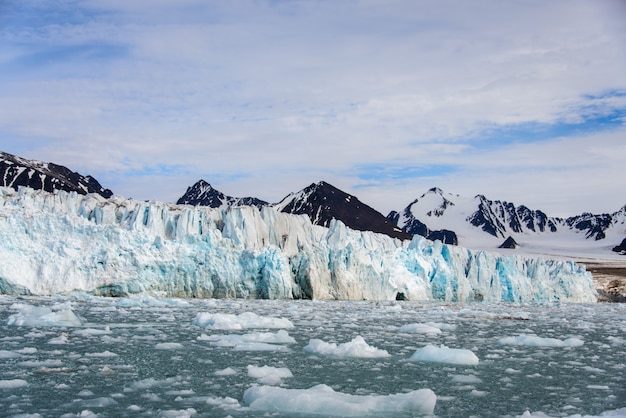 Arctic landscape