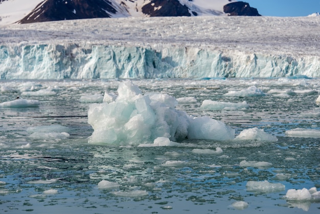 Arctic landscape