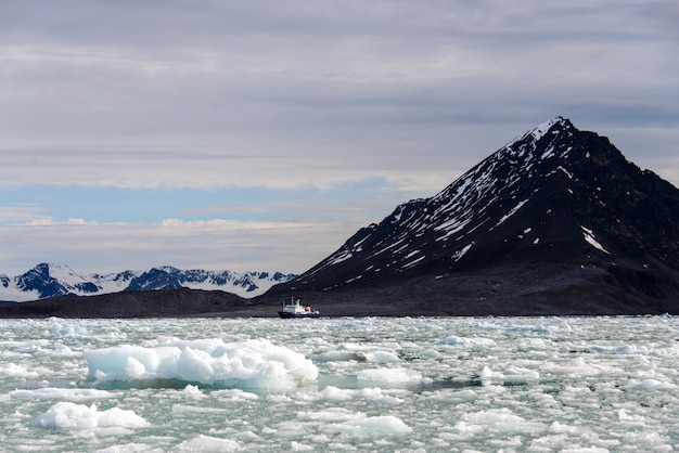 Arctic landscape