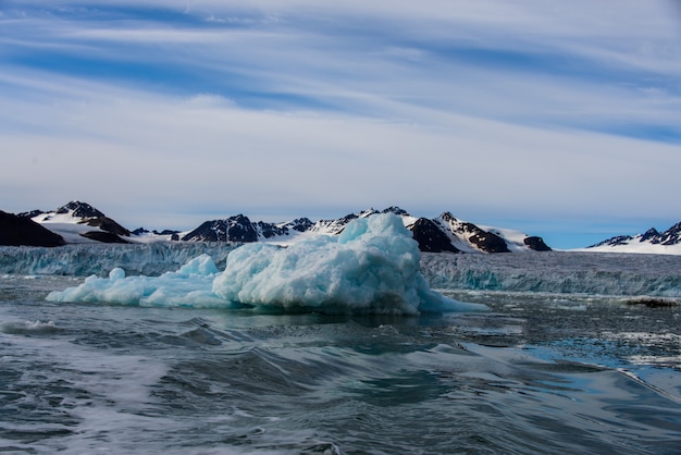 Arctic landscape