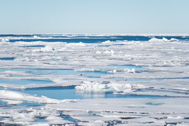 Arctic seascape