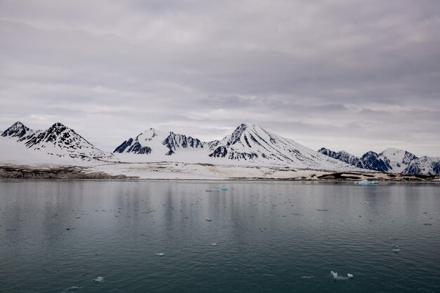 Arctisch landschap met prachtige verlichting in Spitsbergen