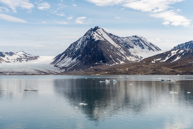 Arctische landschap met bergen en gletsjer in Svalbard in de zomer