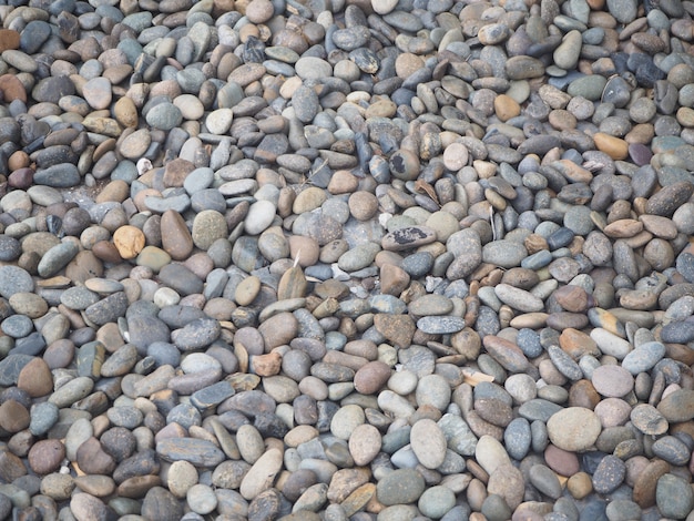 The area is full of small stones.   