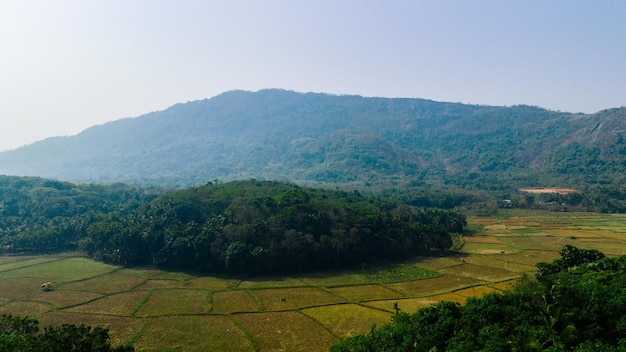 写真 丘の下の田畑の平面図