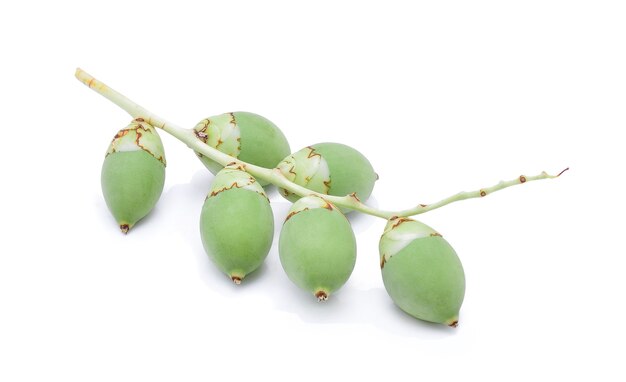 Areca nut on white background