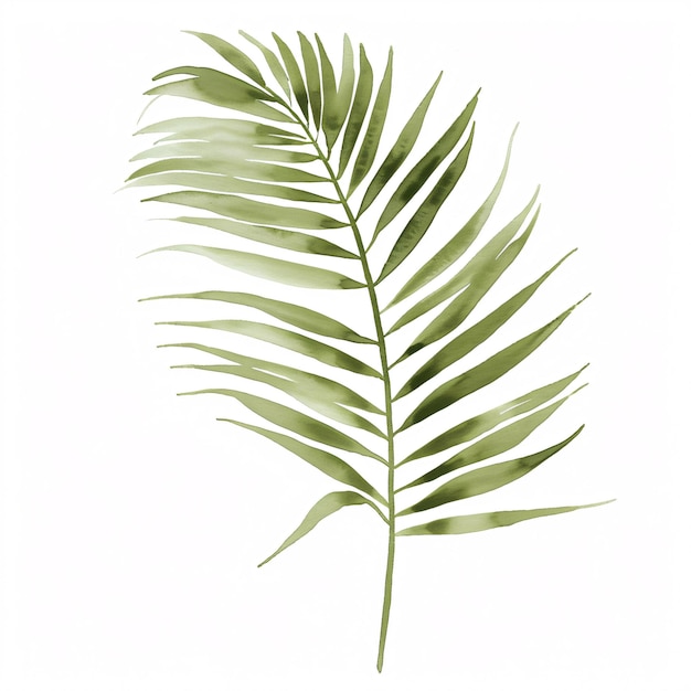 Areca-palmblad van de planten in aquarelstijl Handawn-illustratie