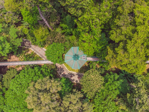 Areial view of capilano suspension bridge kuala lumpur forest ecopark