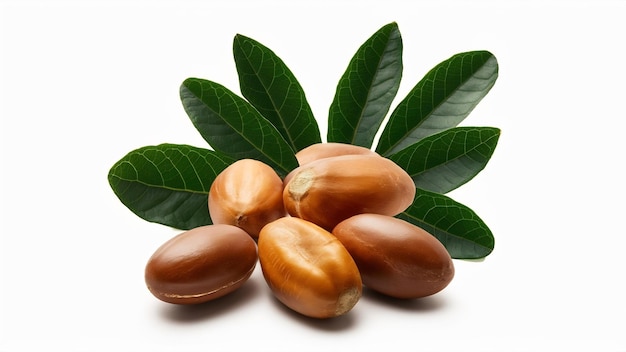 Argan nuts with green leaves on an isolated white background