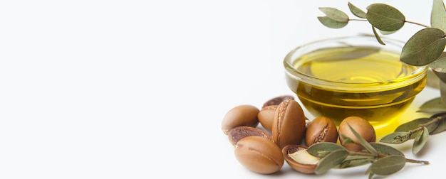 Argan seeds and oil isolated on a white background Argan oil nuts with plant Cosmetics and natural