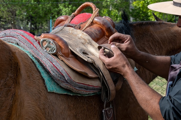 Argentijns gaucho fixerend paardenzadel