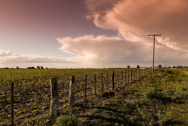 Argentijns platteland landschap La Pampa provincie Patagonië Argentinië