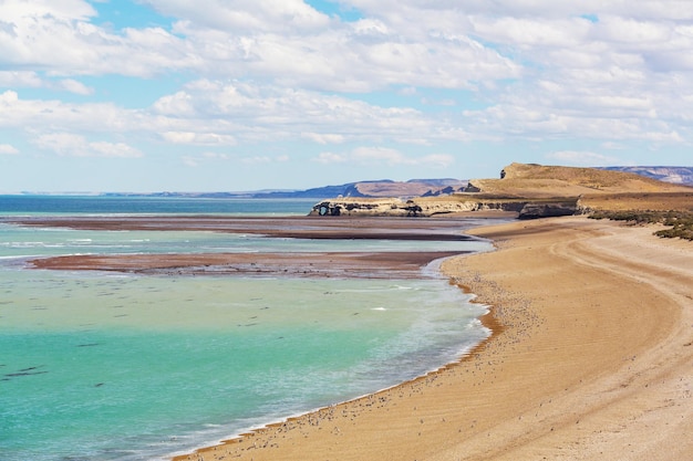 アルゼンチンの海岸