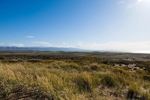 Argentino Lake view from El Calafate, Patagonia, Argentina Patagonian landscape