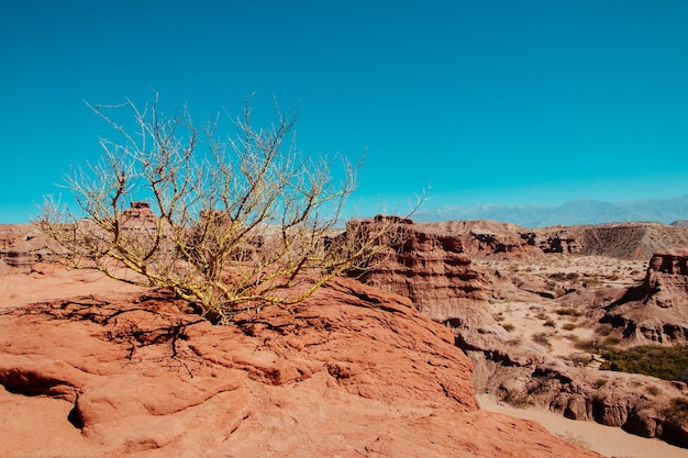 Premium Photo  Arid climate landscape south america argentina